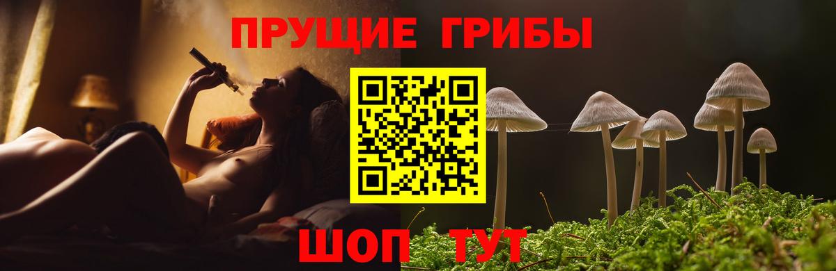 Галлюциногенные грибы прущие грибы Ишим
